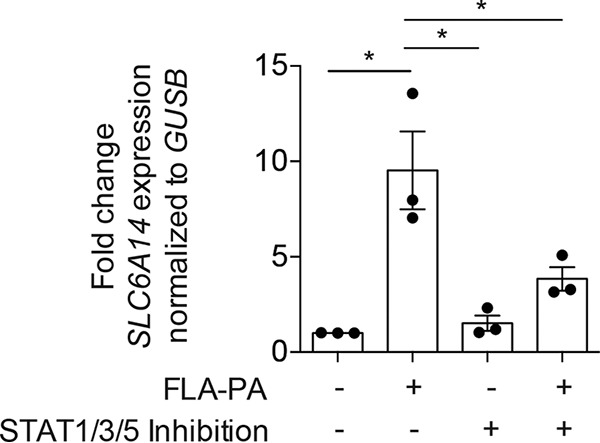 FIG 2 