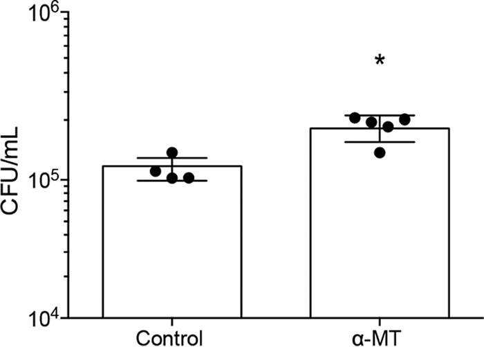 FIG 6 