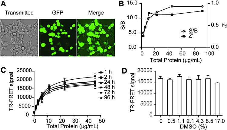 Fig. 2.