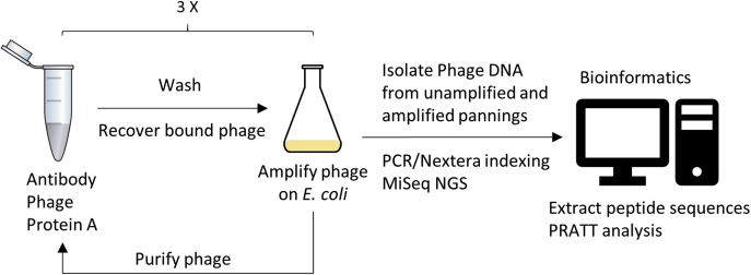 Figure 1