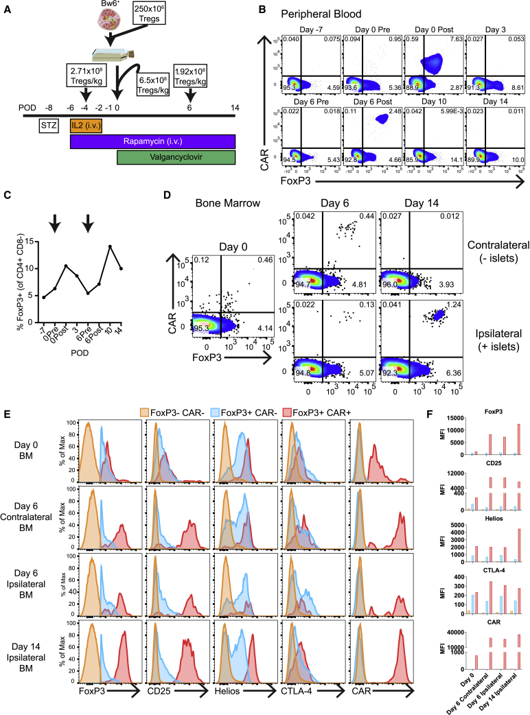 Figure 7