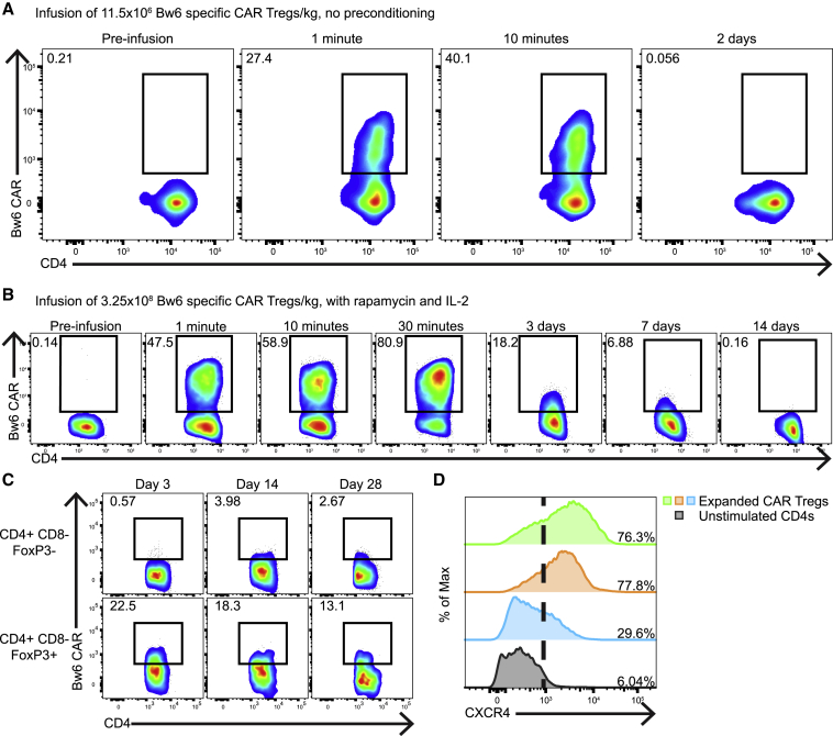 Figure 6