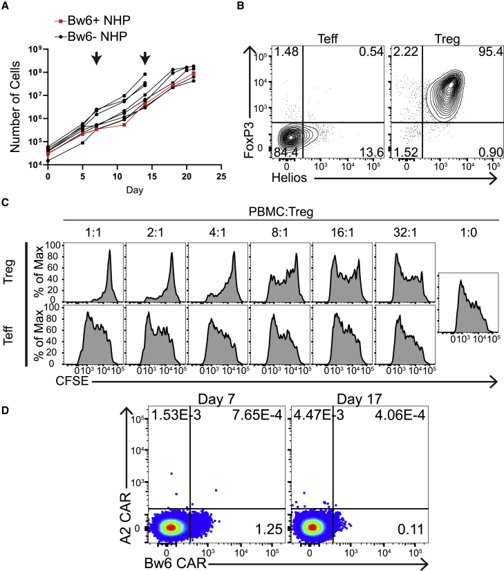 Figure 5