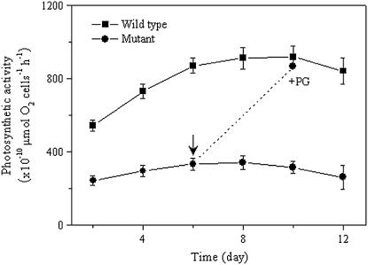 Figure 6.