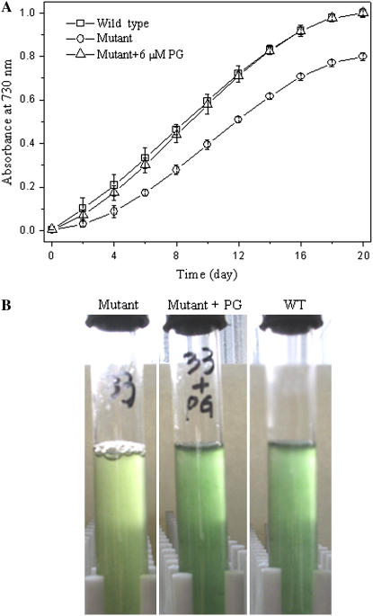 Figure 3.