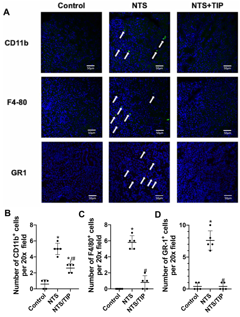 Figure 4 |