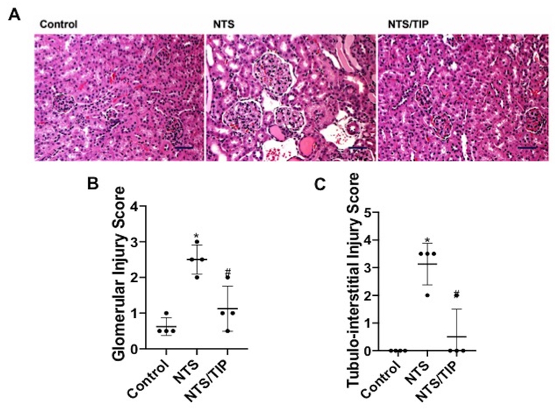 Figure 2 |