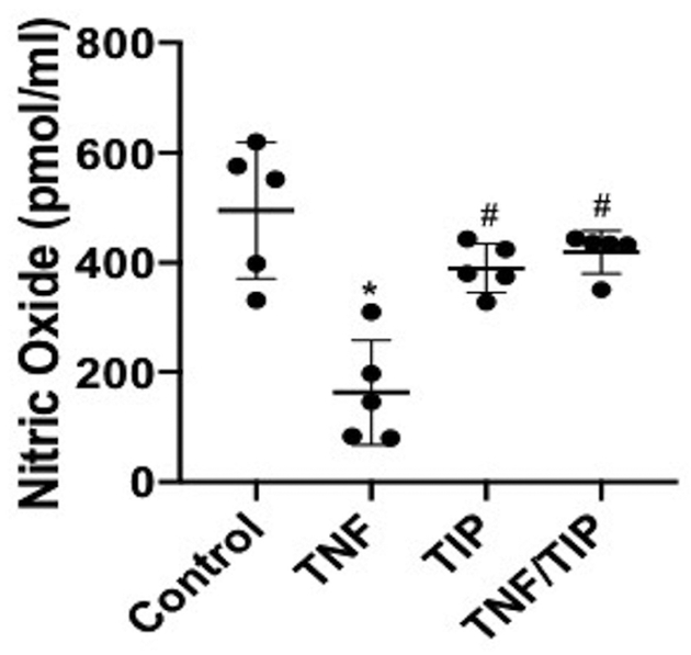 Figure 10 |