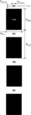 Figure 2—figure supplement 1.