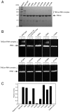 Fig. 4.