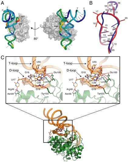 Fig. 2.