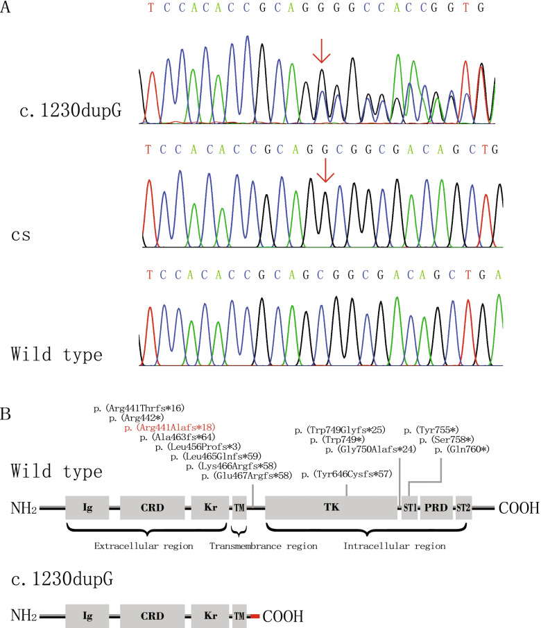 Fig. 3