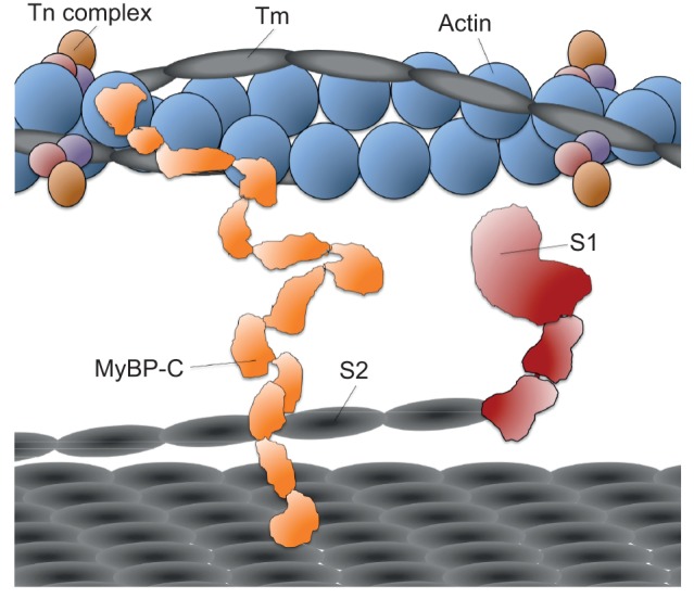 Fig. 2.