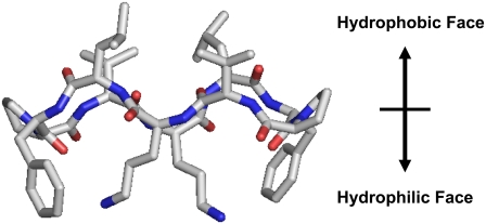 FIGURE 1