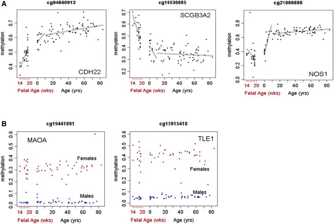 Figure 3