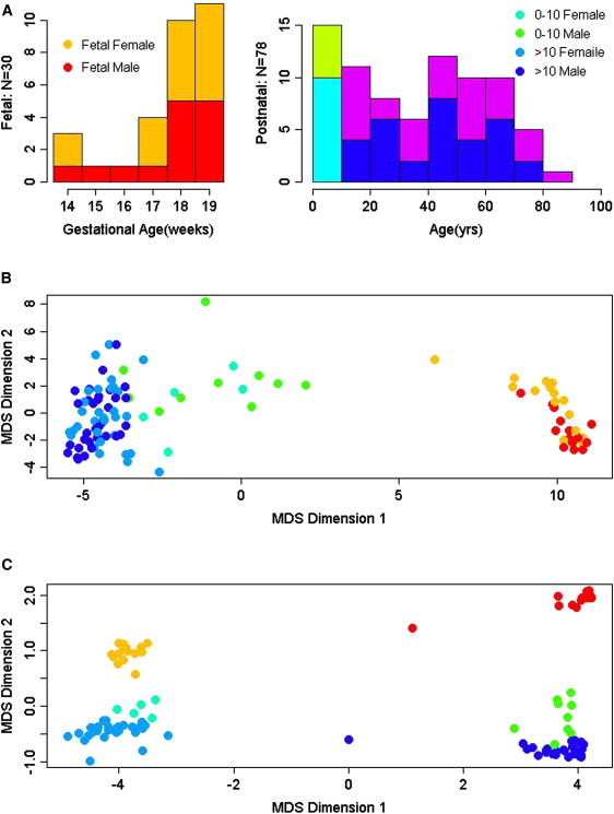 Figure 1