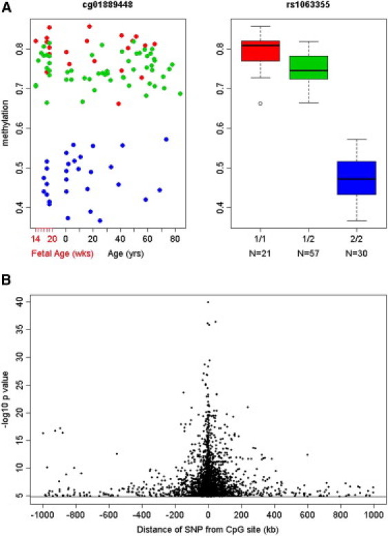 Figure 7