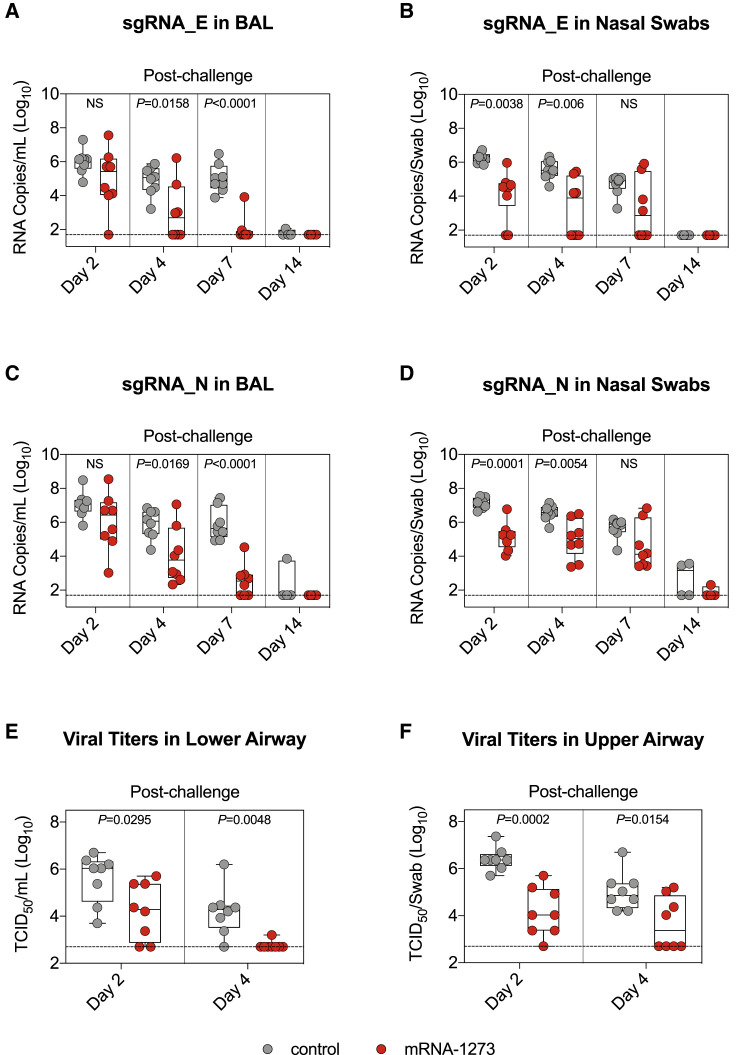 Figure 6