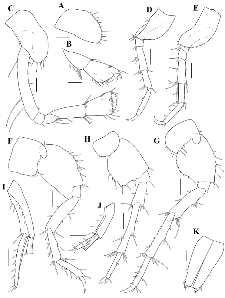 Figure 7.