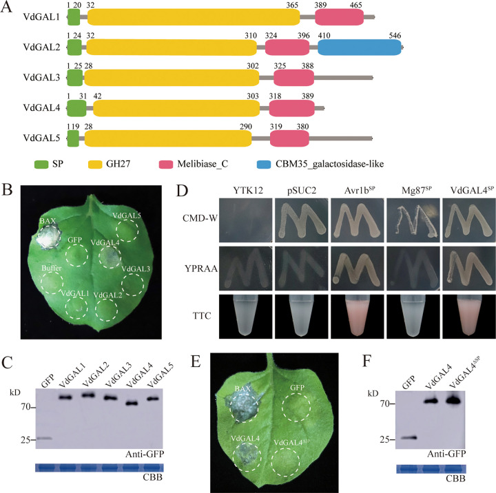 FIG 1