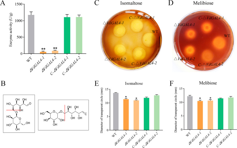 FIG 3