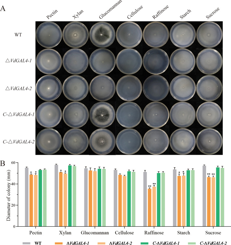 FIG 6