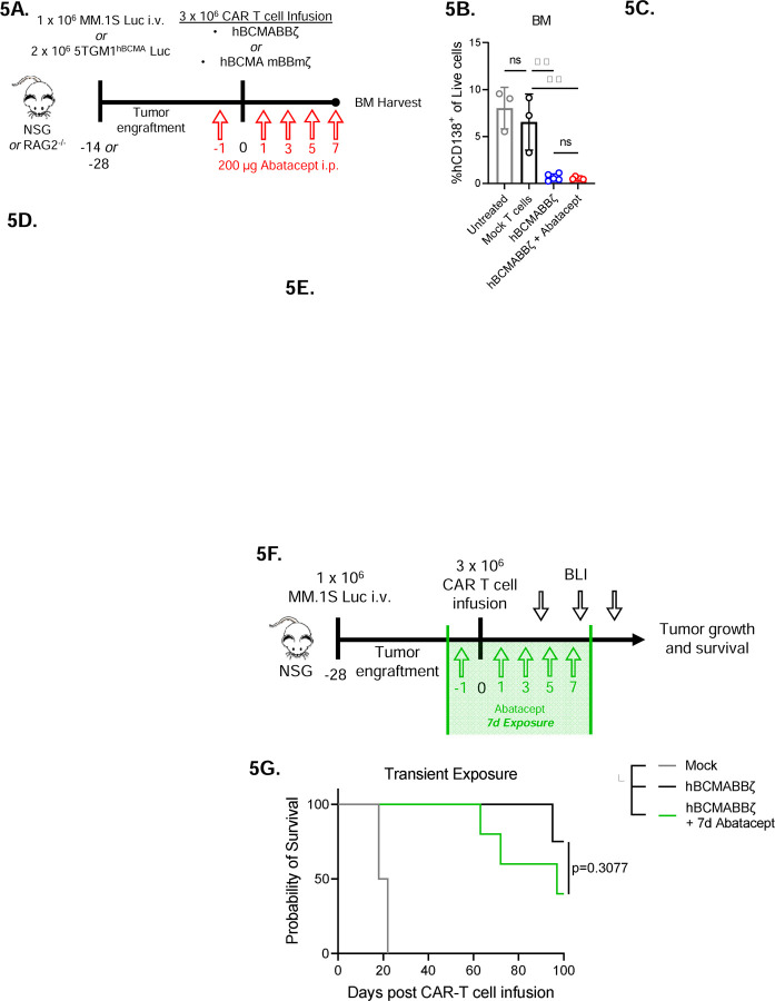 Figure 5: