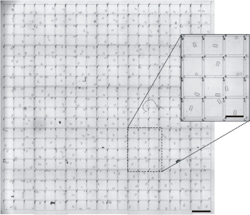 Fig. 5