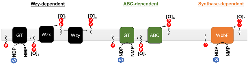 Fig. 5: