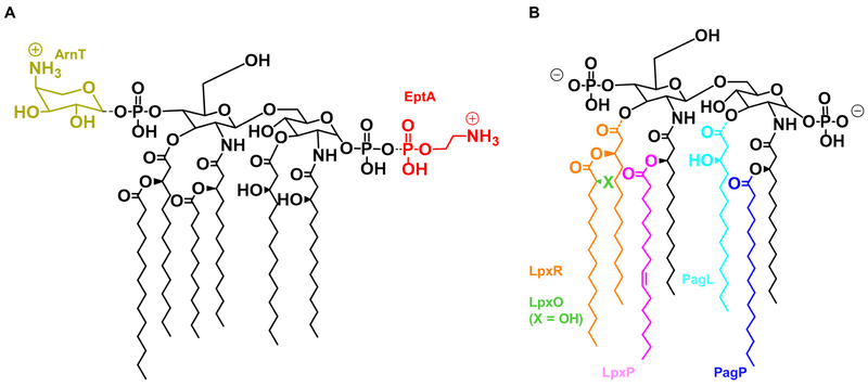 Fig. 6: