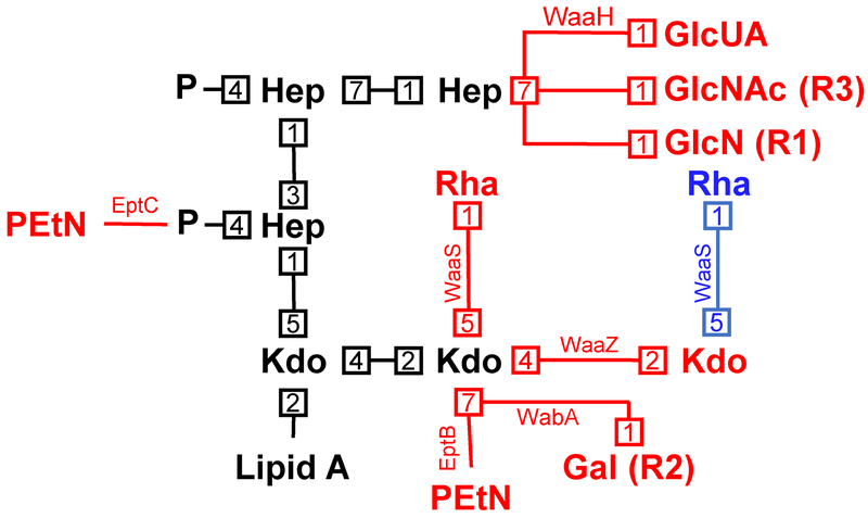 Fig. 7: