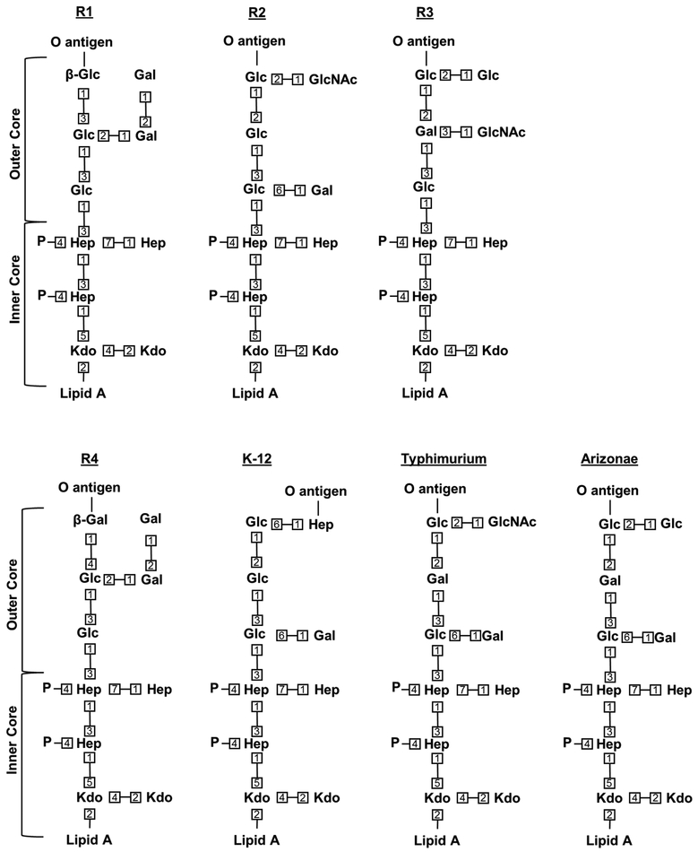 Fig. 4: