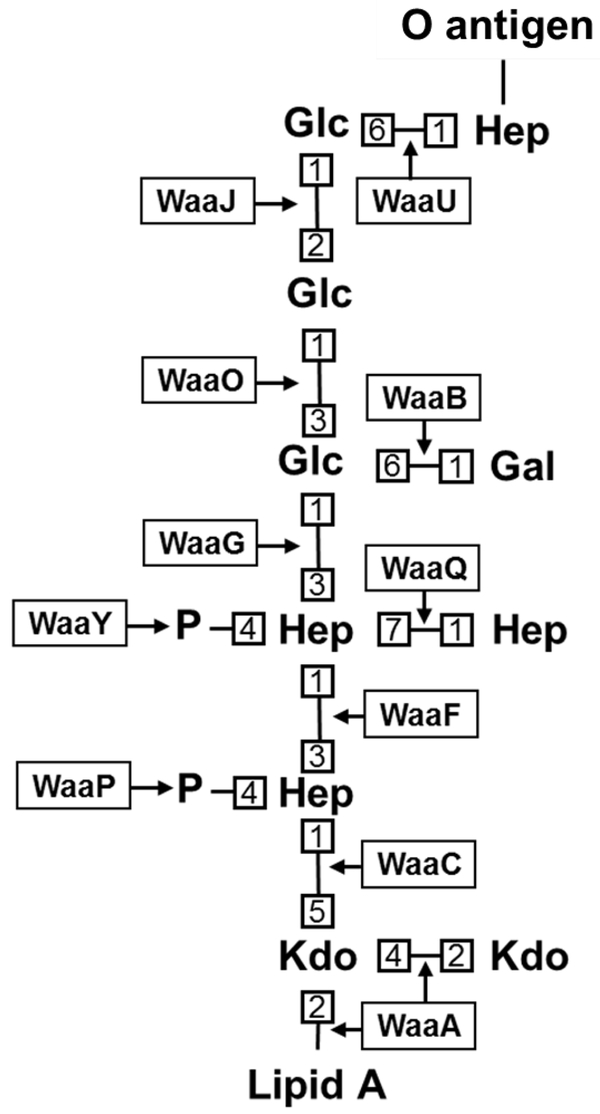 Fig. 3: