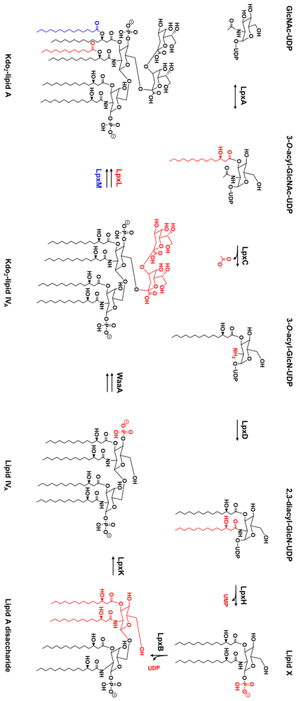 Fig. 2: