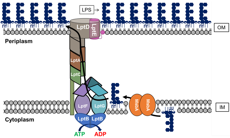 Fig. 8: