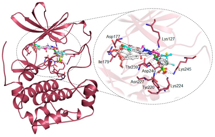 Figure 2