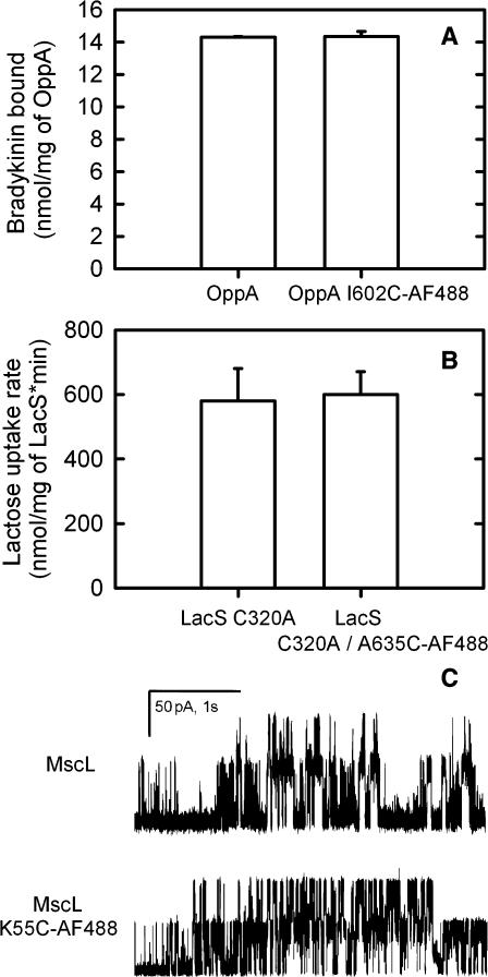 FIGURE 3