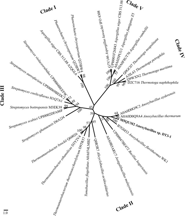 Fig. 3