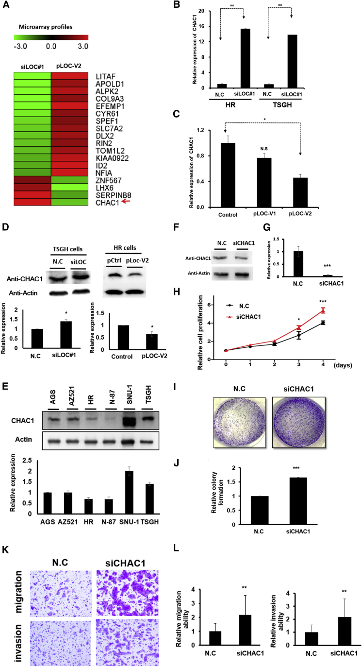 Figure 5