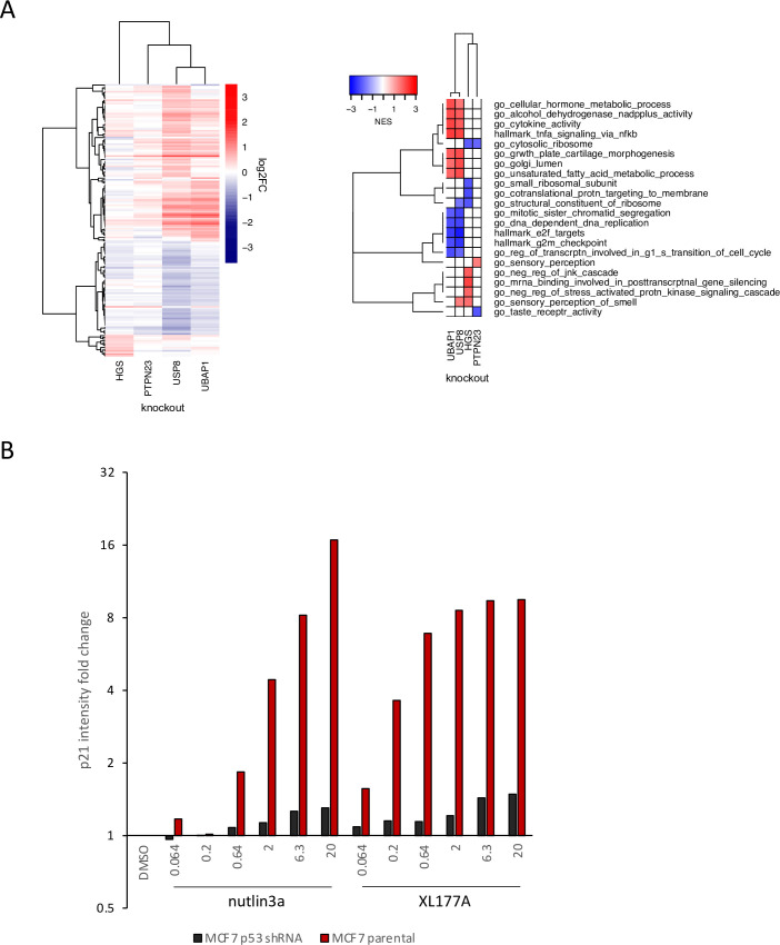 Figure 4—figure supplement 2.