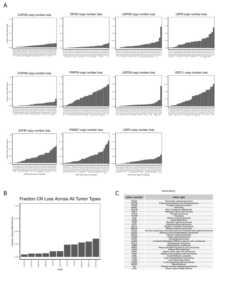 Figure 3—figure supplement 3.