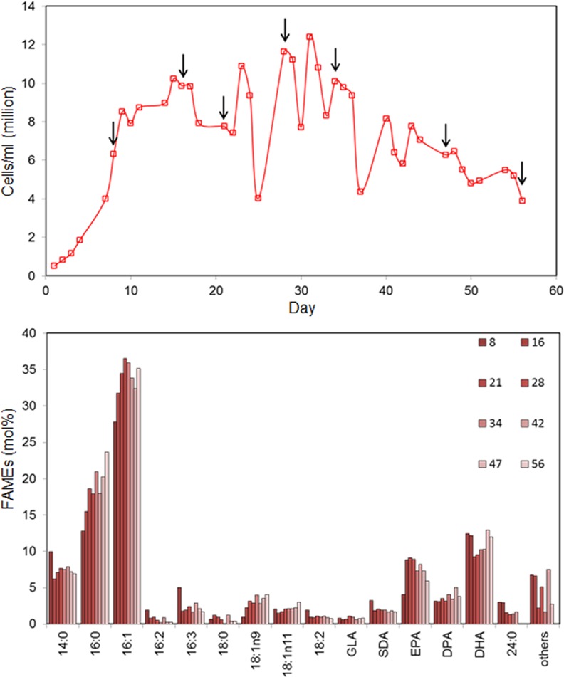 Fig 3