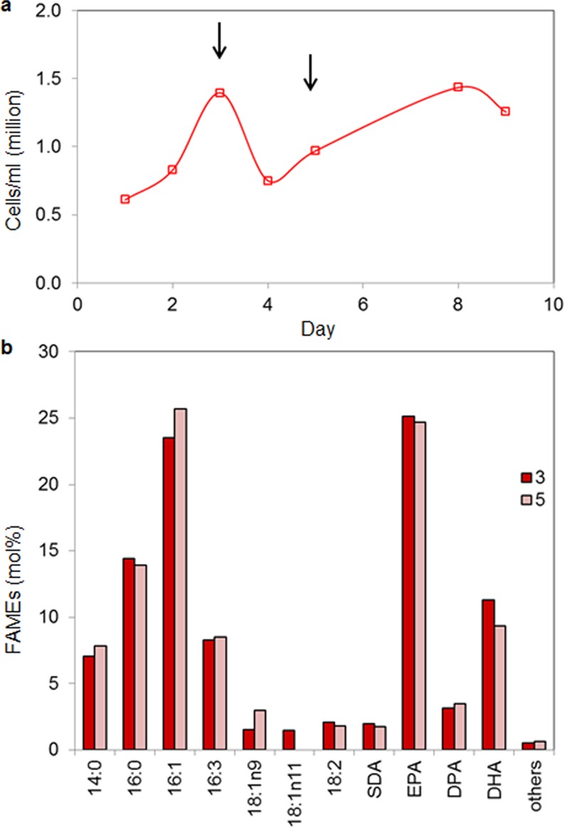 Fig 4