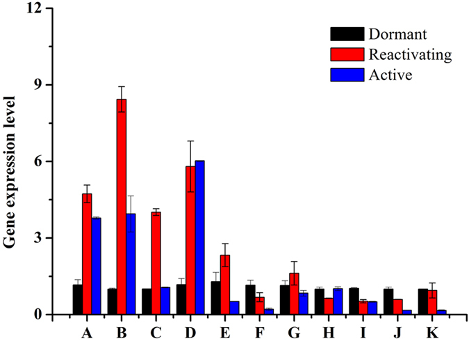 Figure 6