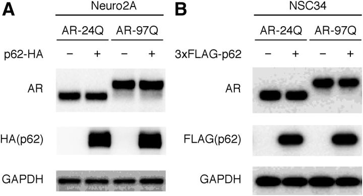 Figure 11.