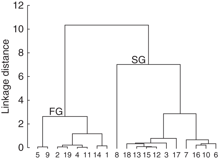 Fig. 8.