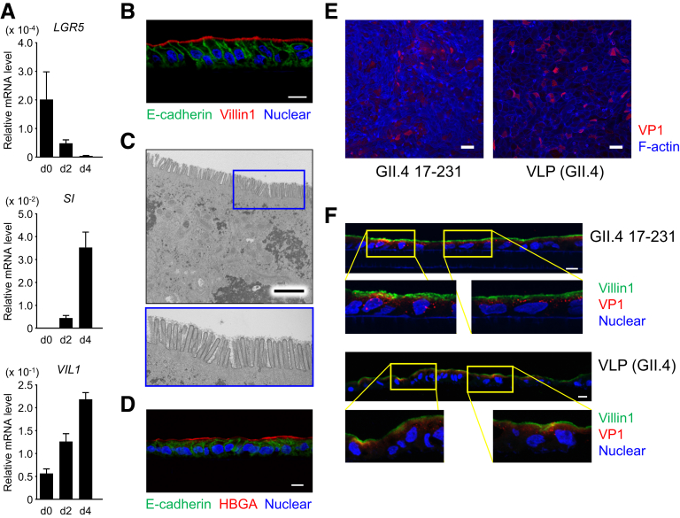 Supplementary Figure 1