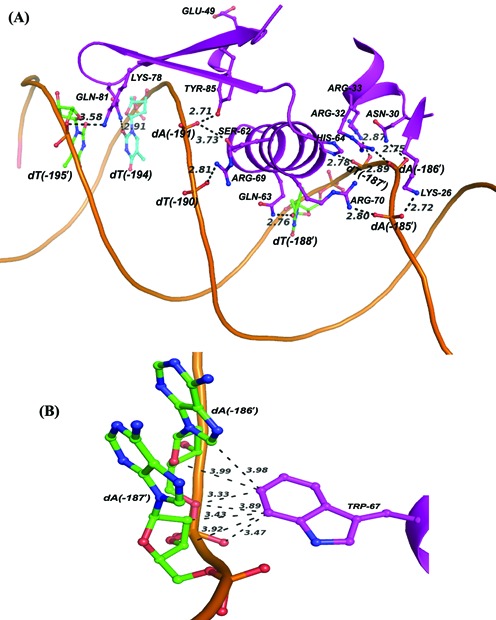 Figure 7.