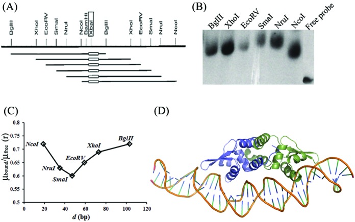 Figure 6.