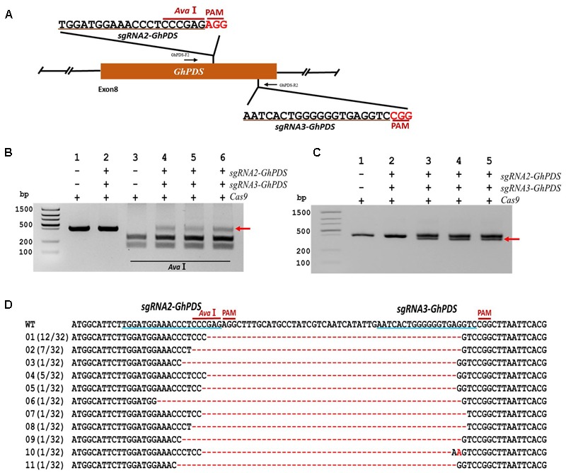 FIGURE 6